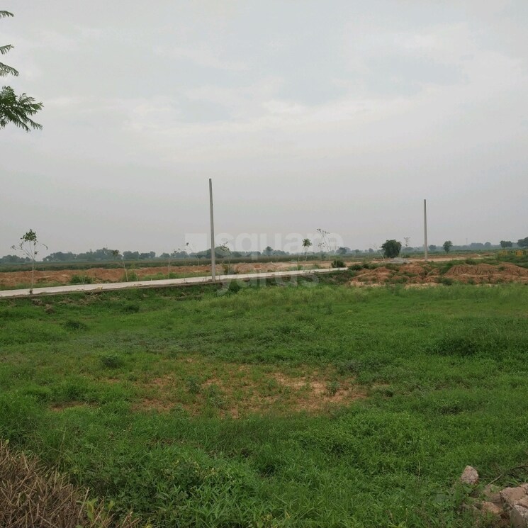 Other, sector 91  190 Sq.Yd. Plot In Sector 91 Faridabad 2806313