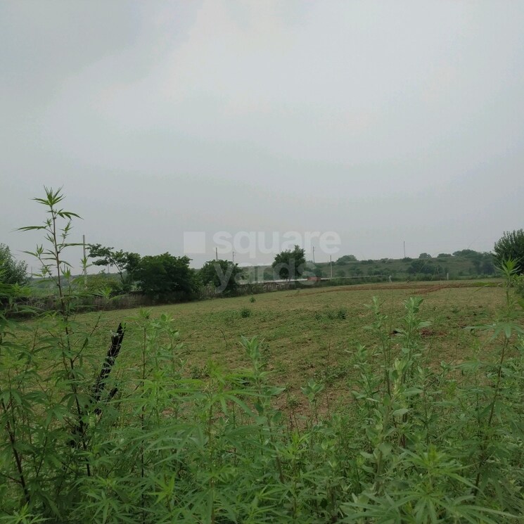 Exterior View, sector 91  120 Sq.Yd. Plot In Sector 91 Faridabad 2806751