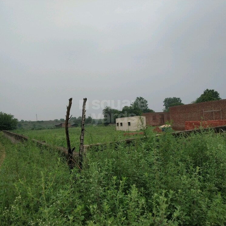 Exterior View, sector 91  120 Sq.Yd. Plot In Sector 91 Faridabad 2806751