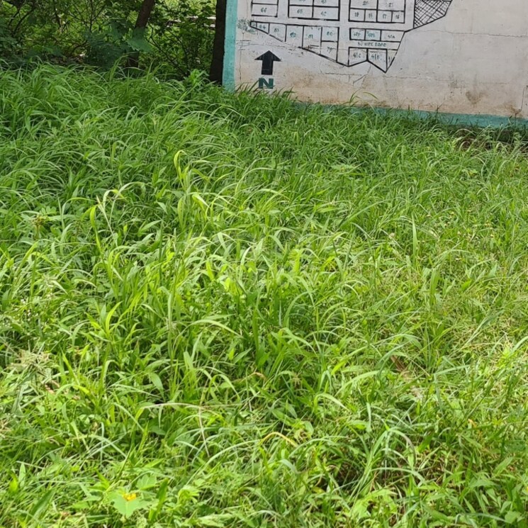 Other, aushapur  250 Sq.Yd. Plot In Aushapur Hyderabad 2807071