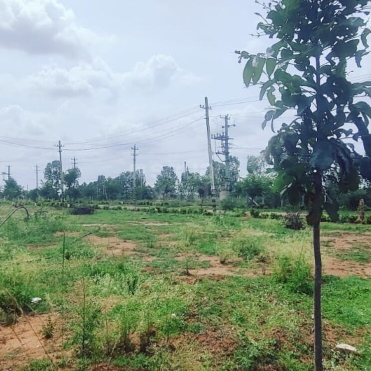 Other, pentagon-city  1200 Sq.Ft. Plot In Attibele Bangalore 2809878