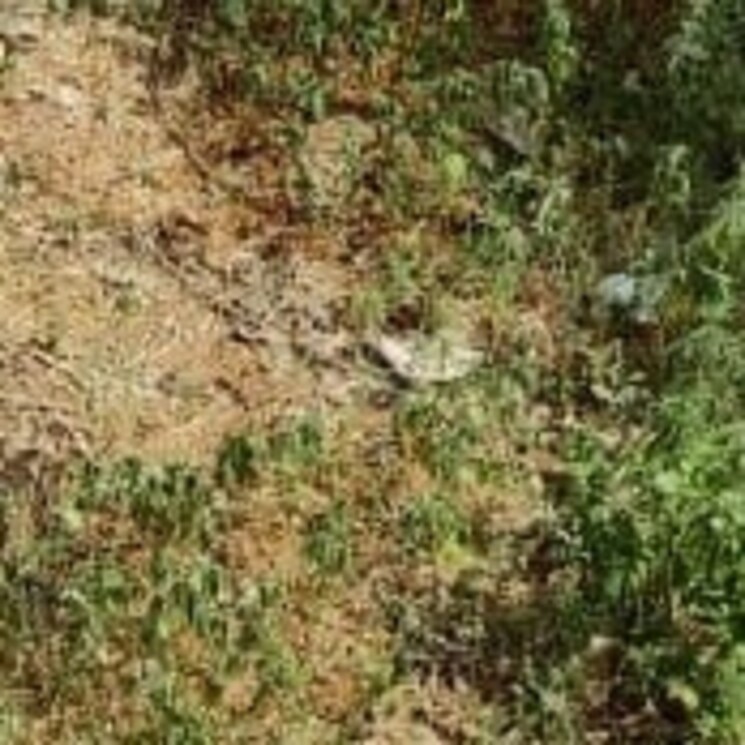 Other, modinagar  72 Sq.Yd. Plot In Modinagar Ghaziabad 2812434