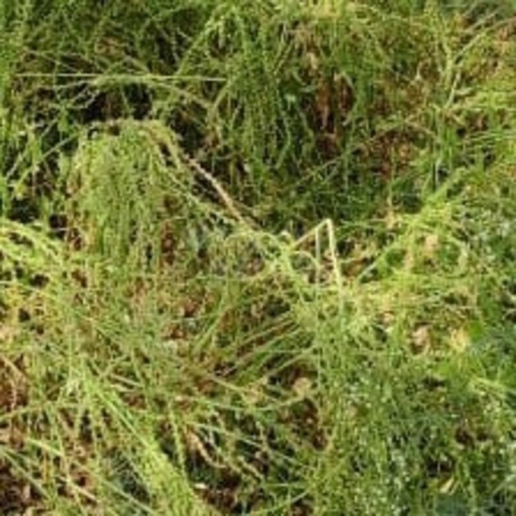 Other, modinagar  72 Sq.Yd. Plot In Modinagar Ghaziabad 2812434