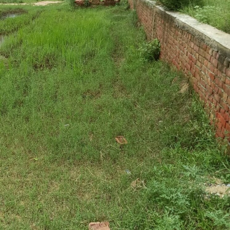 Other, bhola  117 Sq.Yd. Plot In Bhola Meerut 2813587