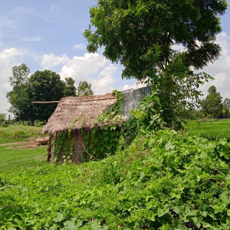 Exterior View, sultanpur road  1200 Sq.Yd. Plot In Sultanpur Road Lucknow 2823752