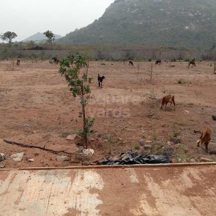 Other, jvs-lotus-residency  300 Sq.Yd. Plot In Kothaguda Hyderabad 2826857