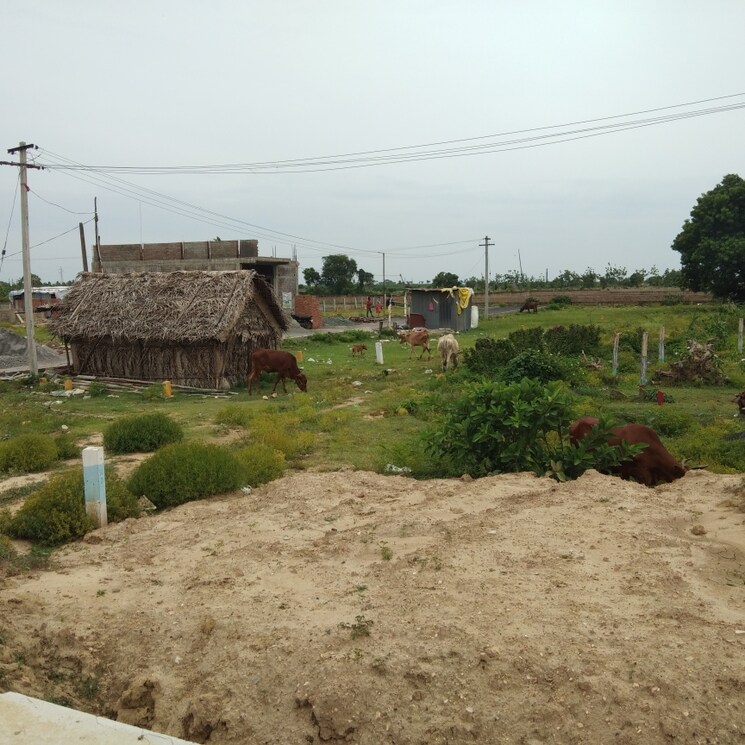 Other, poonamallee  600 Sq.Yd. Plot In Poonamallee Chennai 2856574