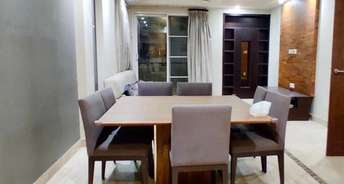 3 BHK Apartment For Rent in Ambience Island Lagoon Dlf City Phase 3 Gurgaon 2877365