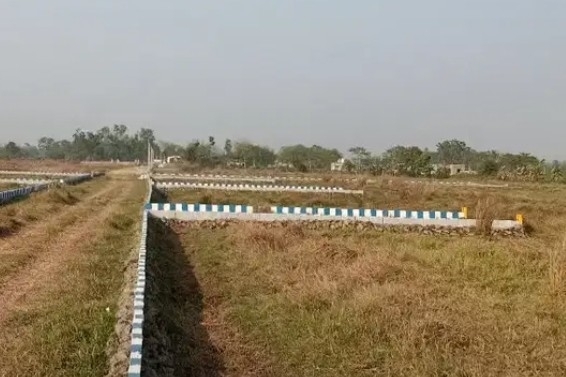 140 sq.yd. plot in barwala hisar