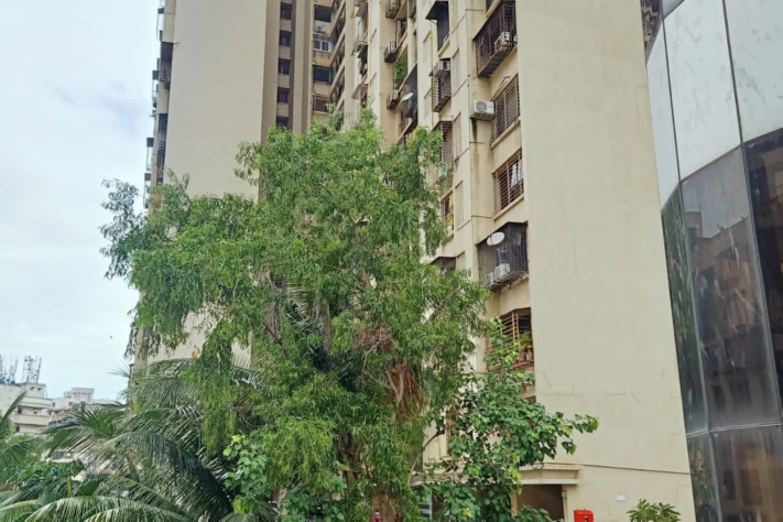 2.5 BHK Apartment For Resale in Evershine Embassy Andheri West Mumbai  3092258