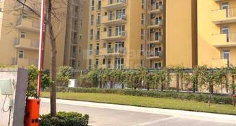 3 BHK Apartment For Rent in Ireo The Corridors Sector 67a Gurgaon 3170892
