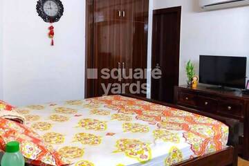 3 BHK Apartment For Rent in Tulip Violet, Sector 69