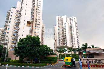 2 BHK Apartment For Rent in Ireo Uptown Sector 66 Gurgaon  3340448