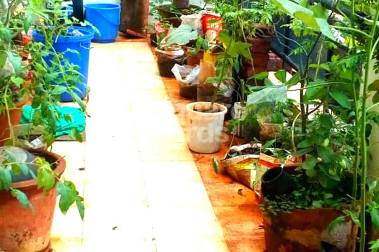 Other, professors-enclave 4 Bedroom 2200 Sq.Ft. Apartment In Sector 56 Gurgaon 3351206