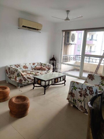 3 BHK Apartment For Rent in Orchid Petals, Sector 49