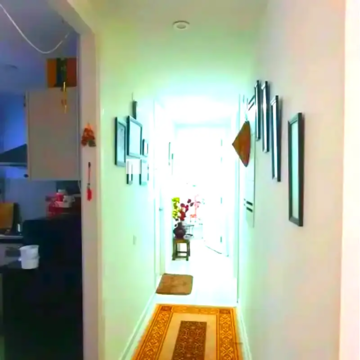 Living Room in 2 BHK Apartment at Ireo The Corridors, Sector 67a – for Rent