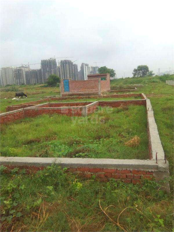 Resale 200 Sq.Yd. Plot in Aerocity Mohali 3659956