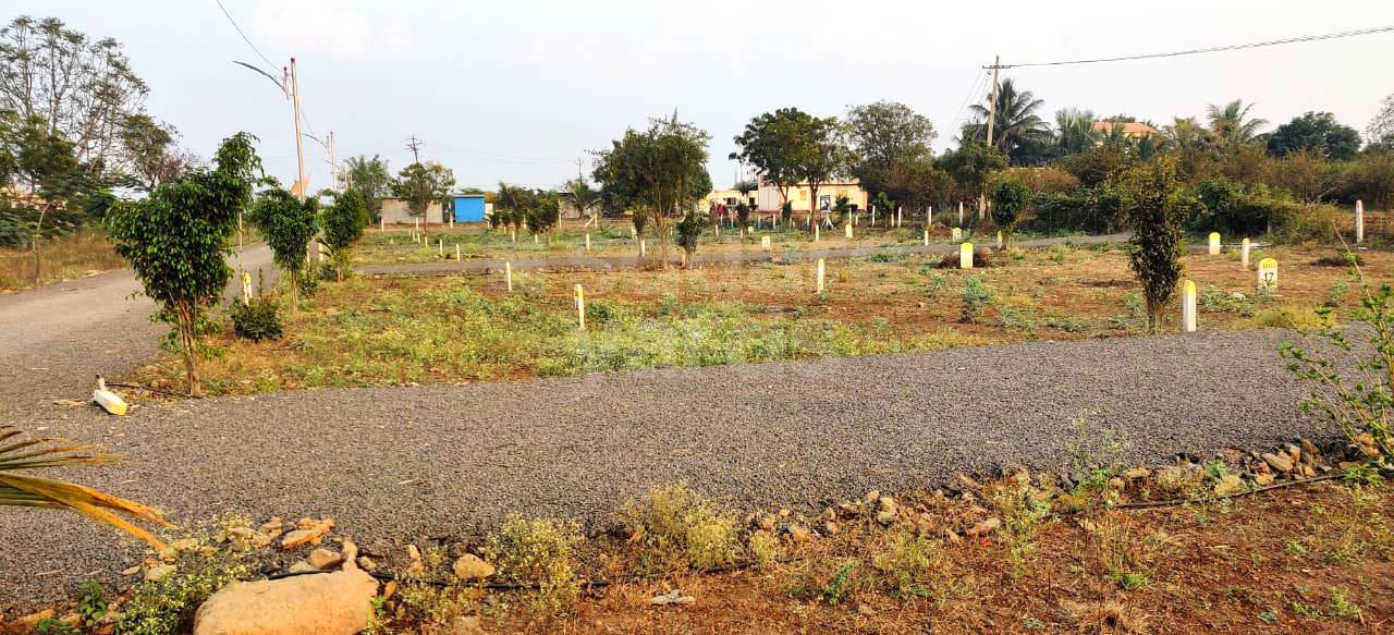 Resale 1000 Sq.Ft. Plot in Wadebolai Pune 4294990