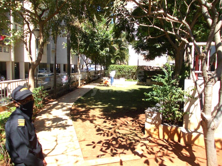 Exterior View, sai-mystique-phase-ii 1 Bedroom 650 Sq.Ft. Apartment In Ambegaon Budruk Pune 3691045