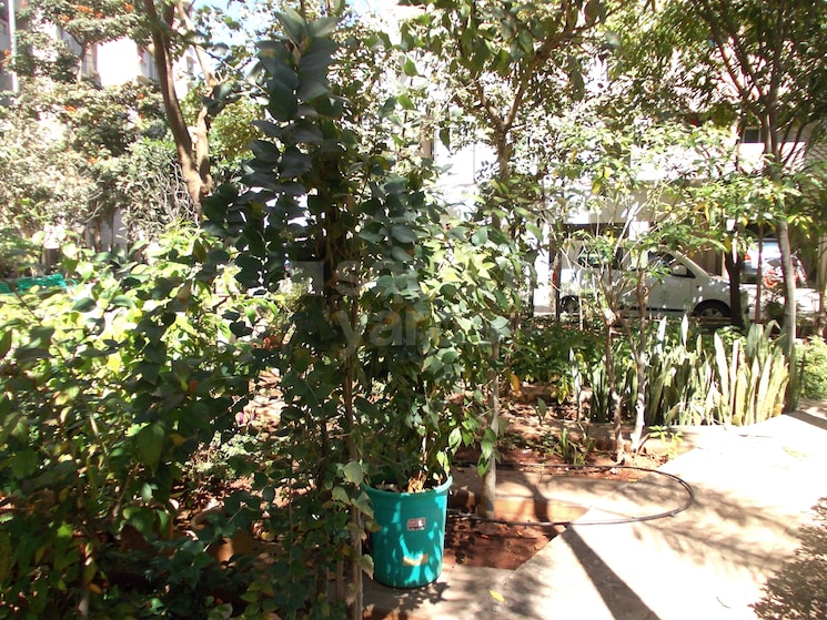Garden, sai-mystique-phase-ii 1 Bedroom 650 Sq.Ft. Apartment In Ambegaon Budruk Pune 3691045