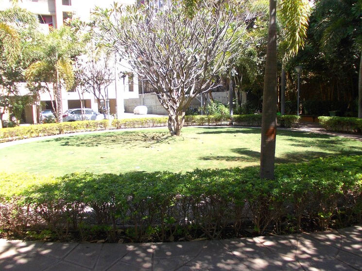 Garden, sai-mystique-phase-ii 1 Bedroom 650 Sq.Ft. Apartment In Ambegaon Budruk Pune 3691045