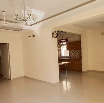 4 BHK Apartment For Rent in Tulip Violet Sector 69 Gurgaon 3736024
