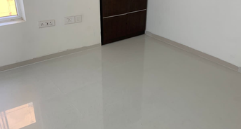4 BHK Apartment For Rent in Tulip Violet Sector 69 Gurgaon 3803992