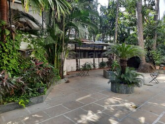 4 BHK Villa For Rent in Emgee Vikas Park Juhu Mumbai  3817510