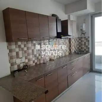 3 BHK Apartment For Rent in Tulip Violet Sector 69 Gurgaon 3924862