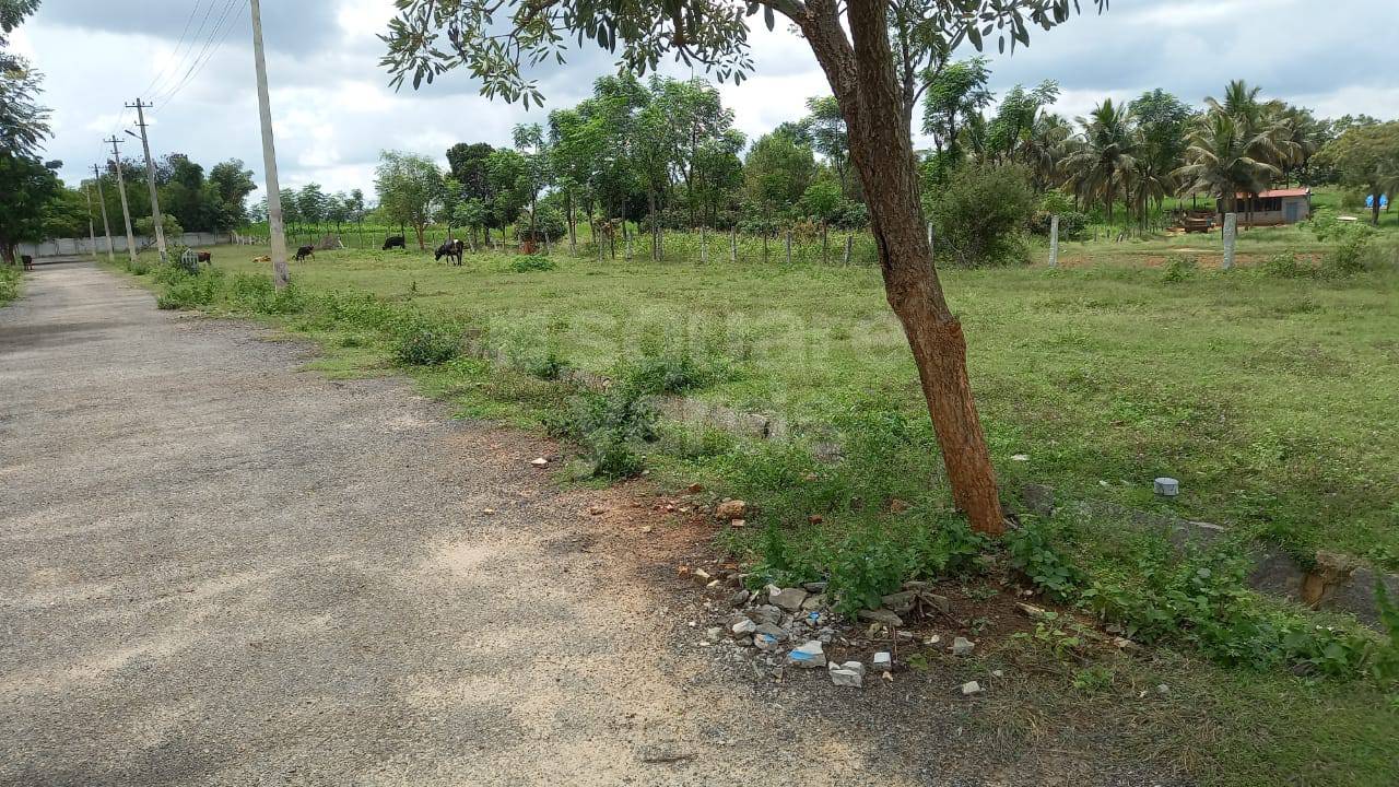 Resale 1200 Sq.Ft. Plot in Nelamangala Bangalore 3925566