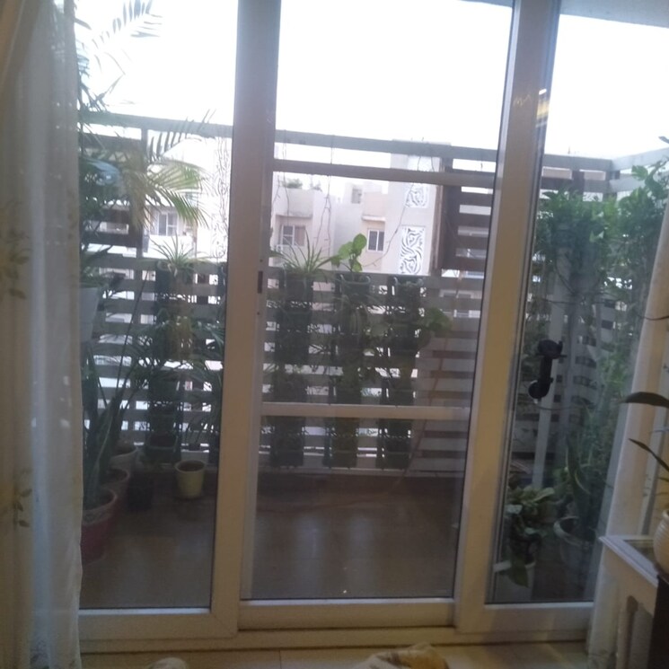 Exterior View, tulip-violet 3 Bedroom 1578 Sq.Ft. Apartment In Sector 69 Gurgaon 3996500