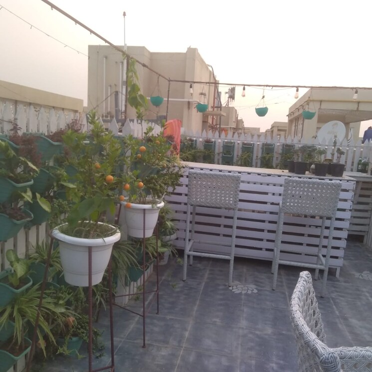 Exterior View, tulip-violet 3 Bedroom 1578 Sq.Ft. Apartment In Sector 69 Gurgaon 3996500