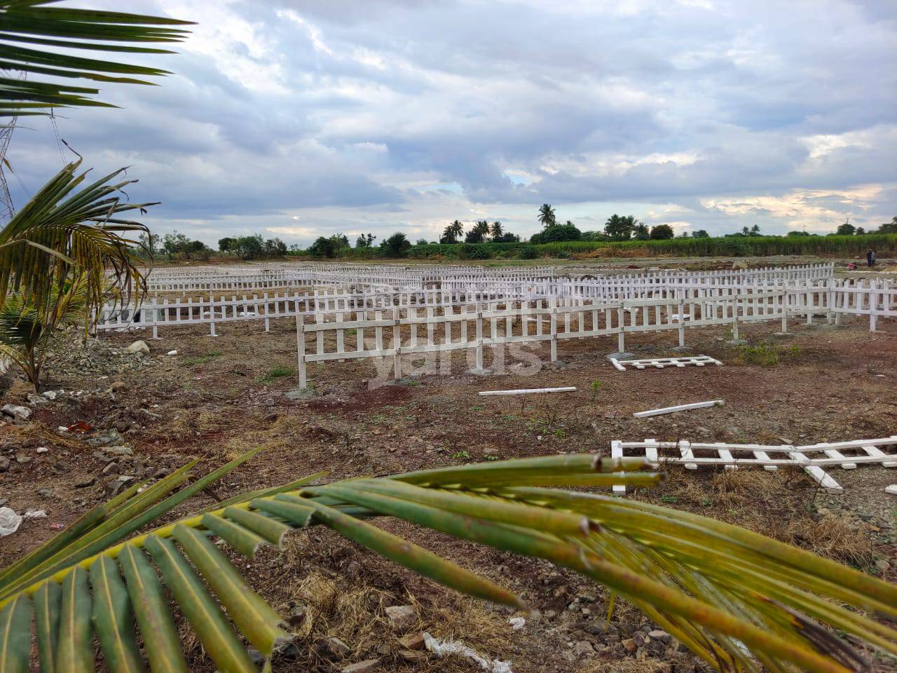 Resale 1697 Sq.Ft. Plot in Theur Phata Pune 3997291