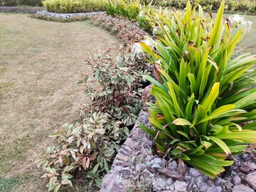  Plot – Exterior View View at Sejbahar - for Sale