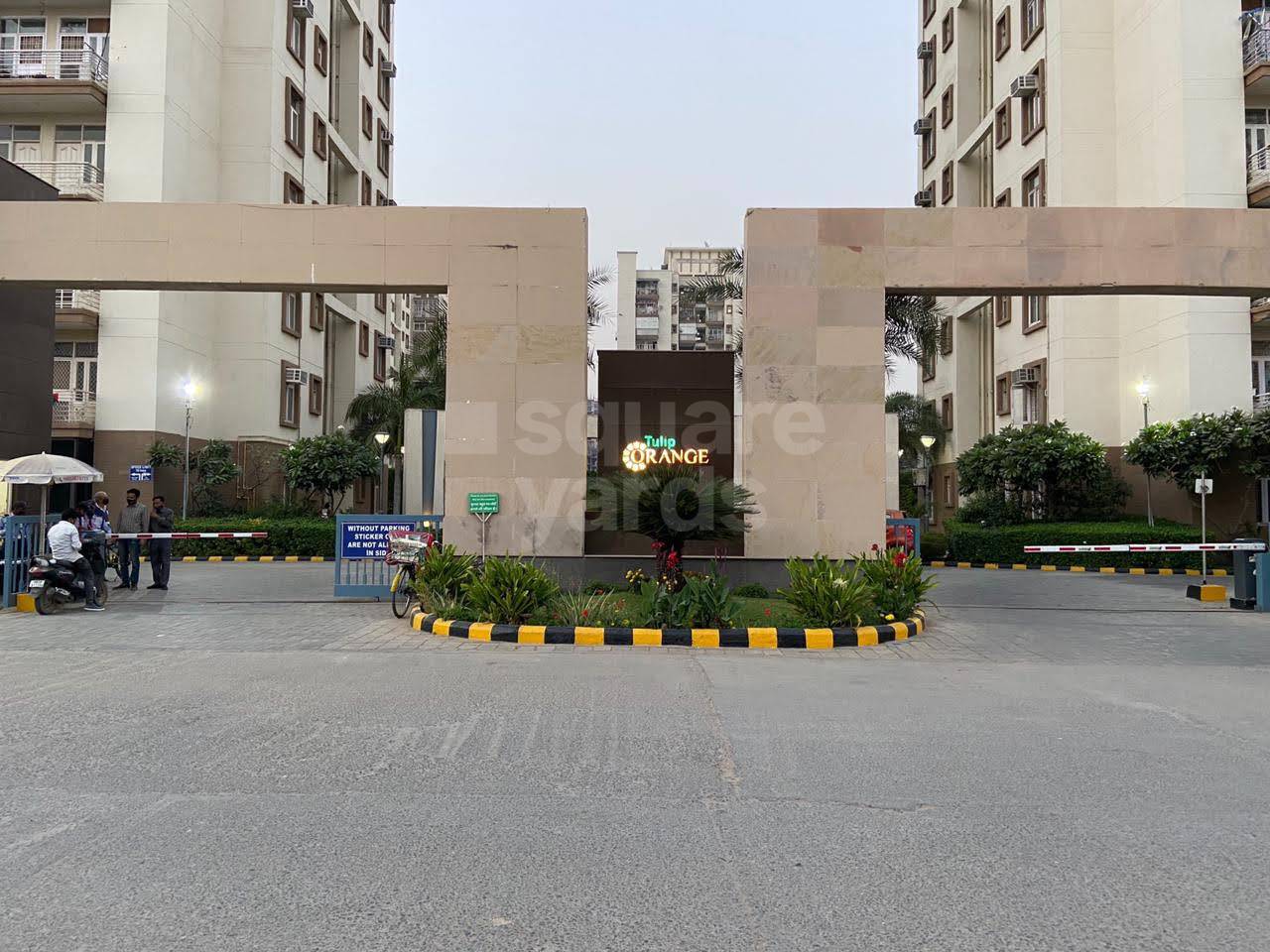 Rental 4 Bedroom 2400 Sq.Ft. Apartment in Tulip Ivory, Sector 70