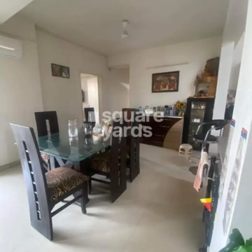 Living Room in 4 BHK Apartment at Tulip Violet, Sector 69 – for Rent