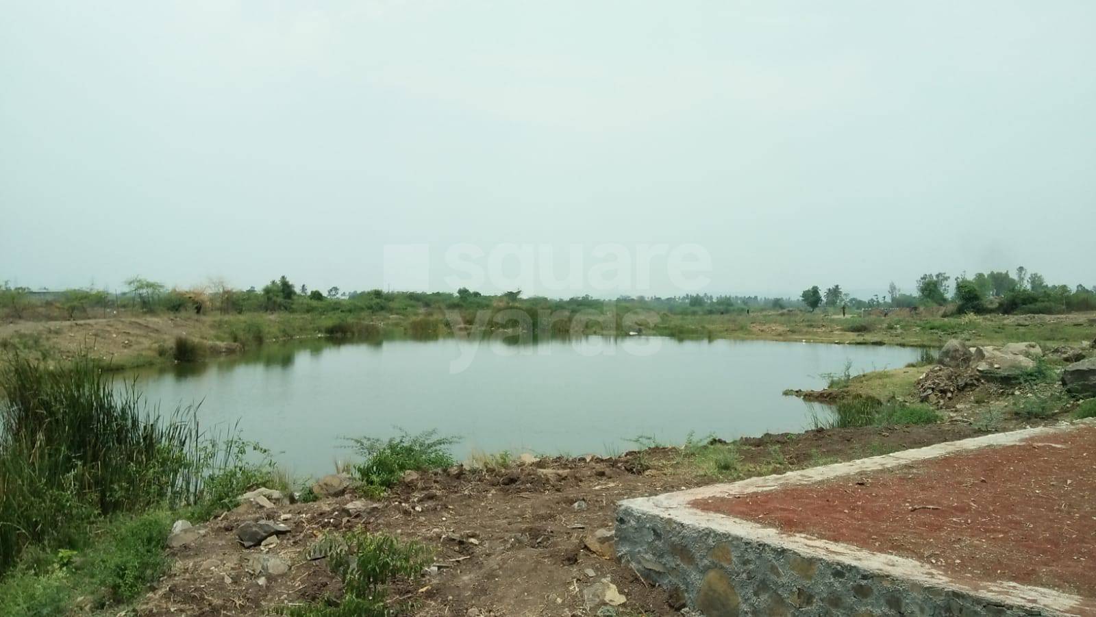 Resale 1697 Sq.Ft. Plot in Theur Phata Pune 3997291