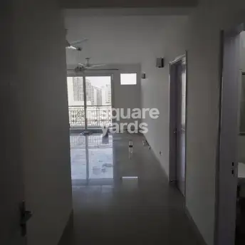 4 BHK Apartment For Rent in Tulip Purple Sector 69 Gurgaon 4125841