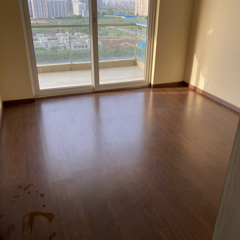 3 BHK + Servant Room Apartment For Rent in Paras Irene