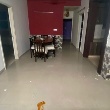 Living Room in 3 BHK Apartment at Tulip White, Sector 69 – for Rent