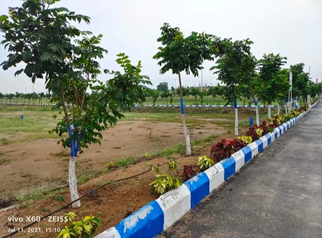 Plot For Sale in YBR Avasa Hills