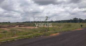  Plot For Resale in Off Sarjapur Road Bangalore 4194543