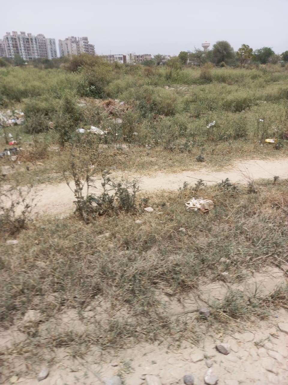 Resale 150 Sq.Yd. Plot in Patel Nagar Bahadurgarh 4833580