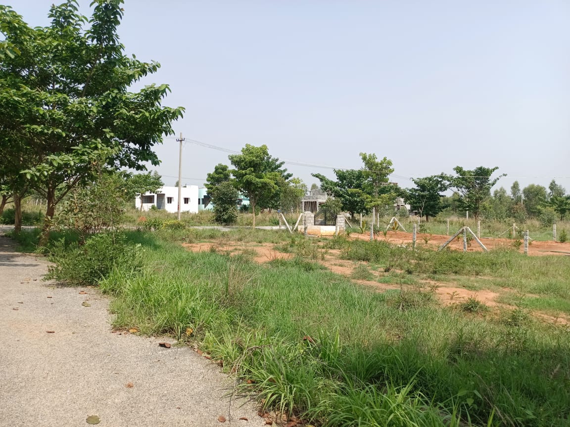 Resale 1200 Sq.Ft. Plot in Hulimangala Bangalore 4239182