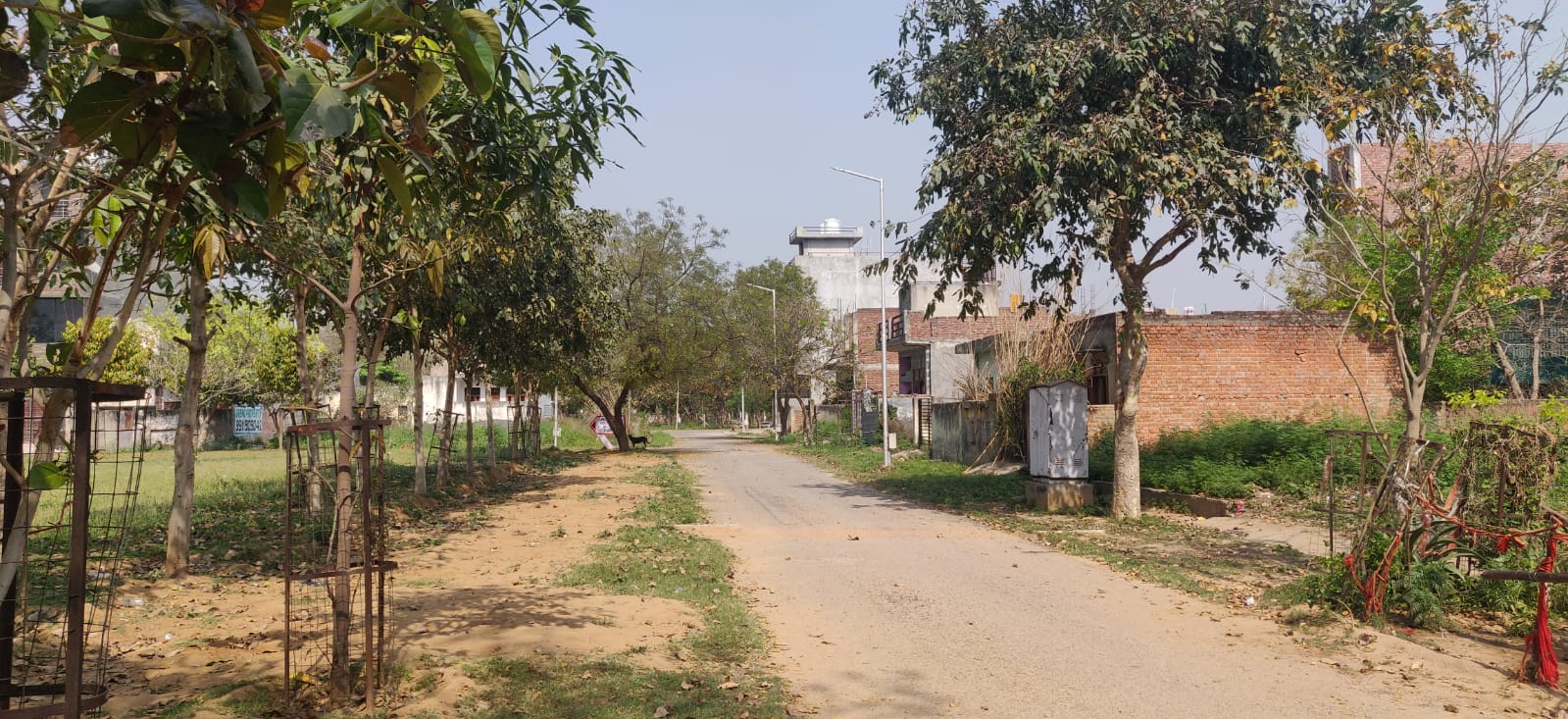 Resale 350 Sq.Mt. Plot in Msx Alpha Homes, Gn Sector Alpha 1 Greater