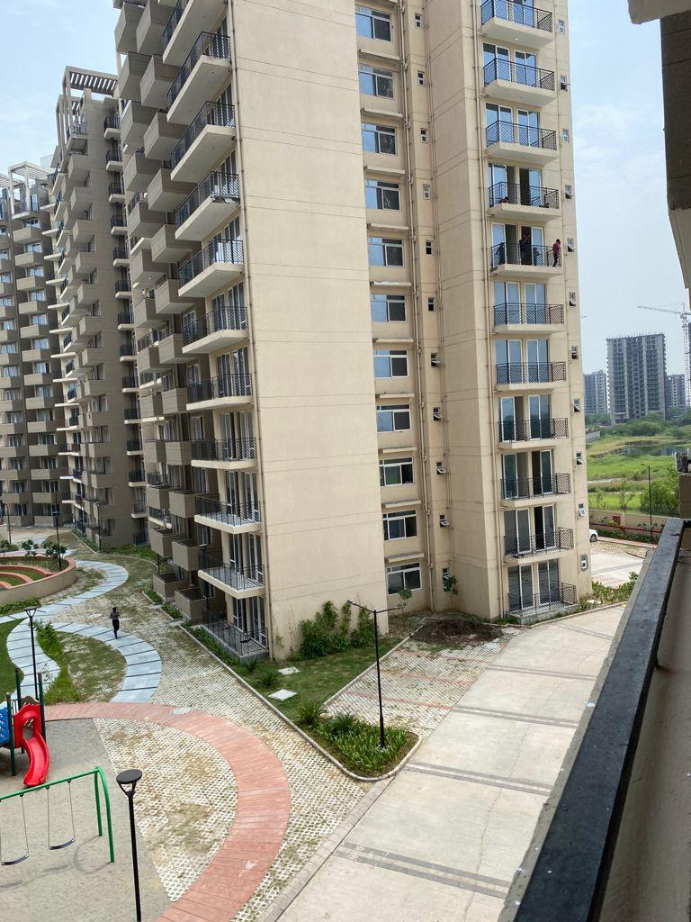 Rental 1 Bedroom 419 Sq.Ft. Apartment in Signature Global Grand Iva, Sector 103 Gurgaon 4392642