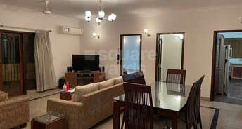 3 BHK Penthouse For Rent in Brigade Orchid Ashok Nagar Bangalore 4274898