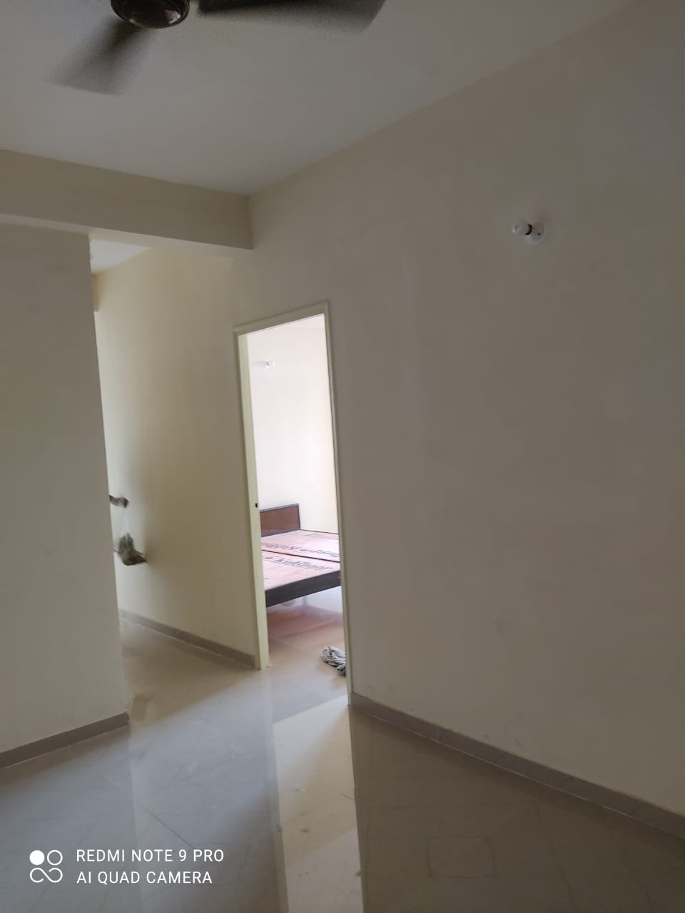 Rental 2 Bedroom 691 Sq.Ft. Apartment in Pyramid Urban Homes, Sector