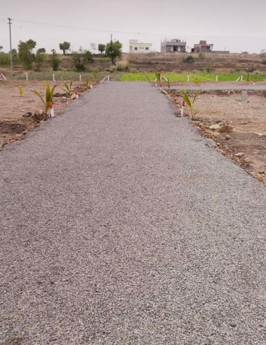 Resale 1000 Sq.Ft. Plot in Wadebolai Pune 4294990