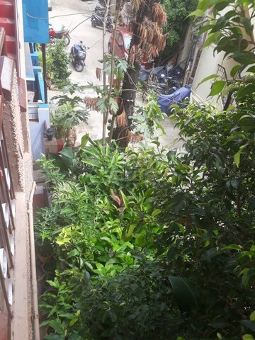 3 BHK Independent House – Exterior View View at Benson Town - for Rent